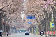 北流共建“花园城市” 北京这场议政会“百花齐放”